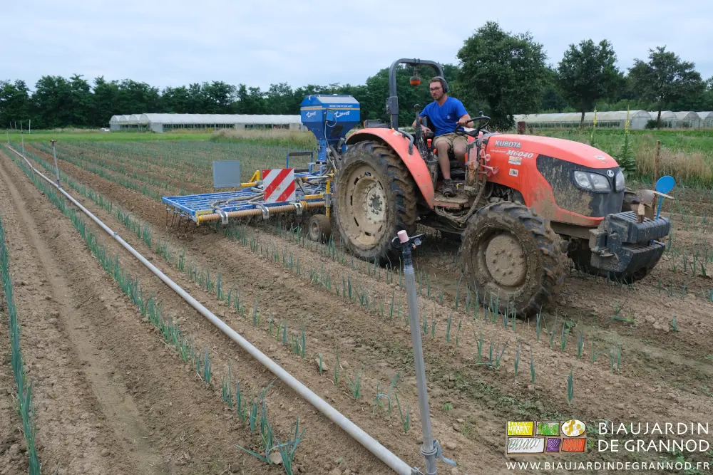 Photo de l’étrillage en cours à coté de la planche avec la rampe d’arrosage