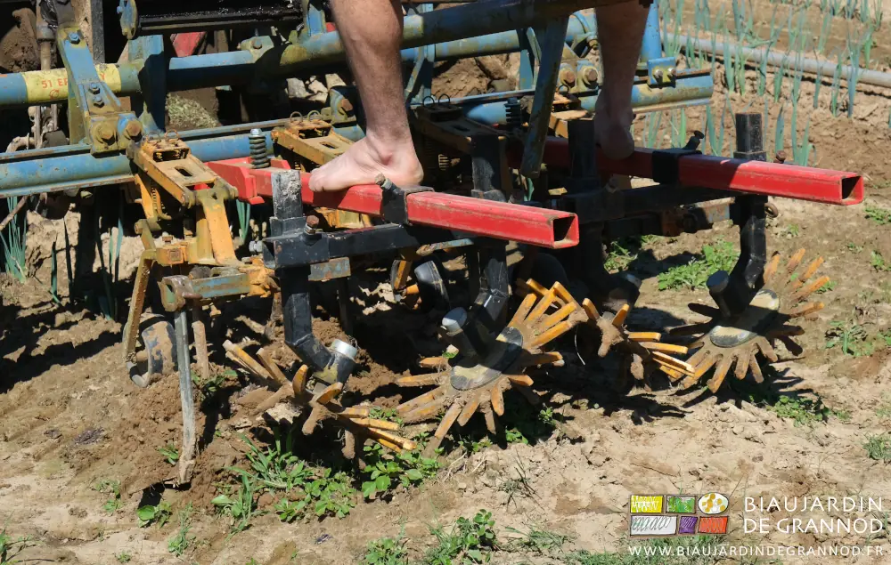 Photo proche des éléments de binage à doigts souples montés sur une bineuse