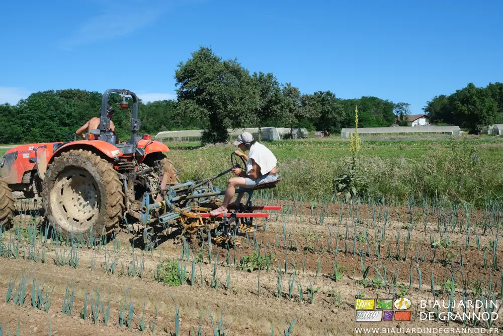Photo de bineuse et doigts souples dans les poireaux sur fond de bois et bocage diversifié