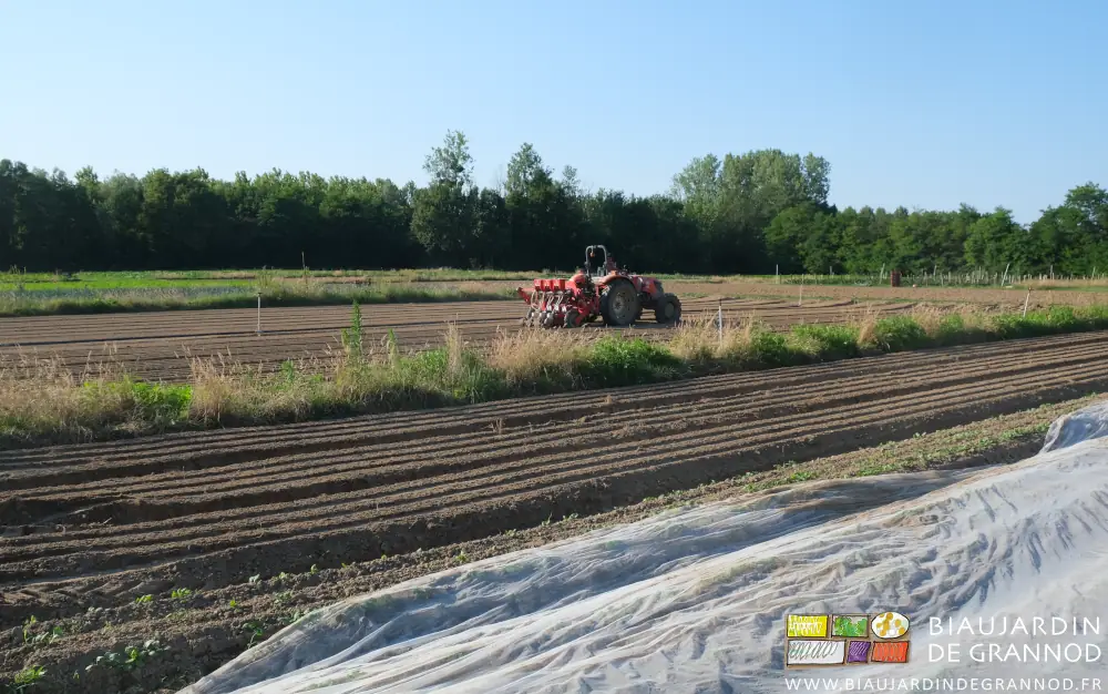 photo d'ensemble, tracteur et bande fleurie entre deux carrés