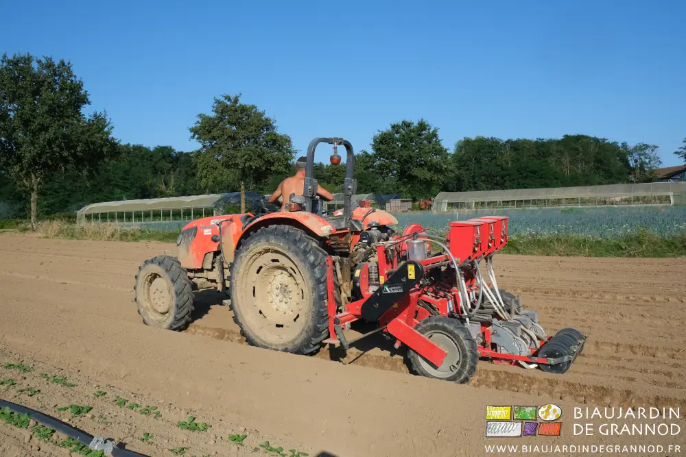 Photo du tracteur orange entraînant le semoir pneumatique rouge dans un carré de navet
