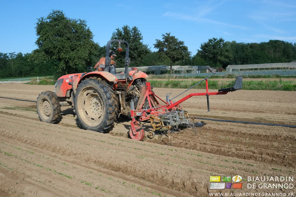 photo de la bineuse travaillant sans conducteur assis sur son siège