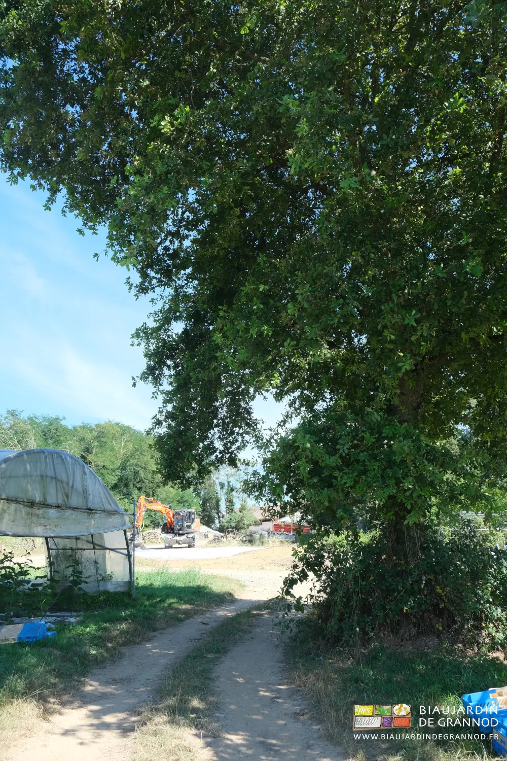 photo d'une pelleteuse terrassant le haut du jardin depuis notre joli chêne central