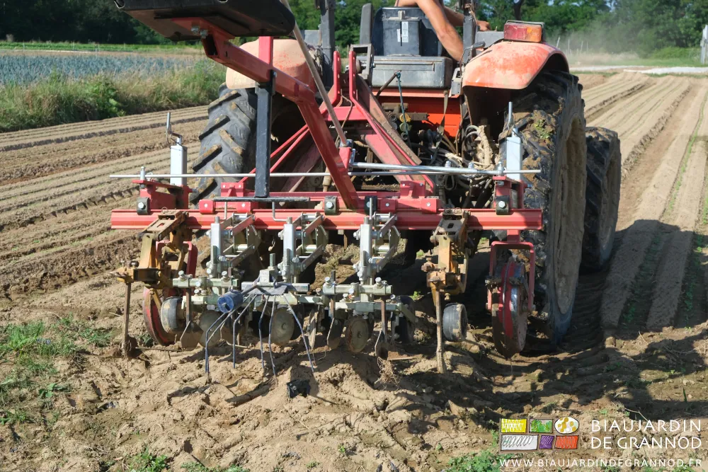 photo de la bineuse avec ses éléments duo