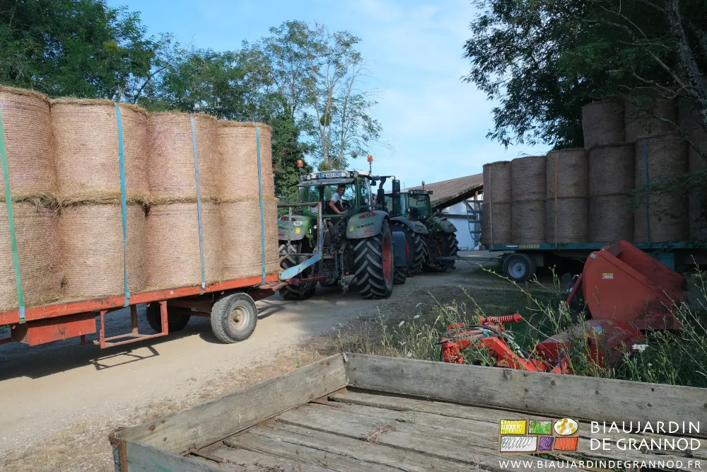 photo de 2 tracteurs avec remorques de foin au carrefour de notre desserte et du chemin du jardin