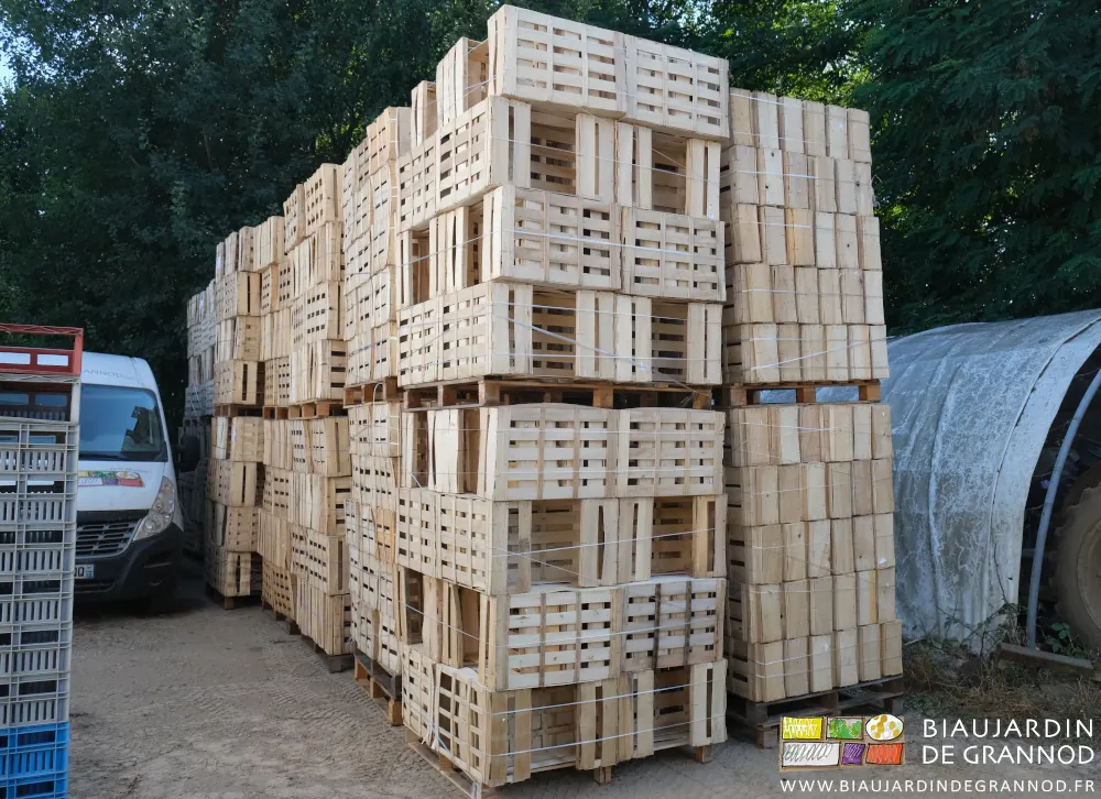 photo des palettes d'emballage bois d'occasion