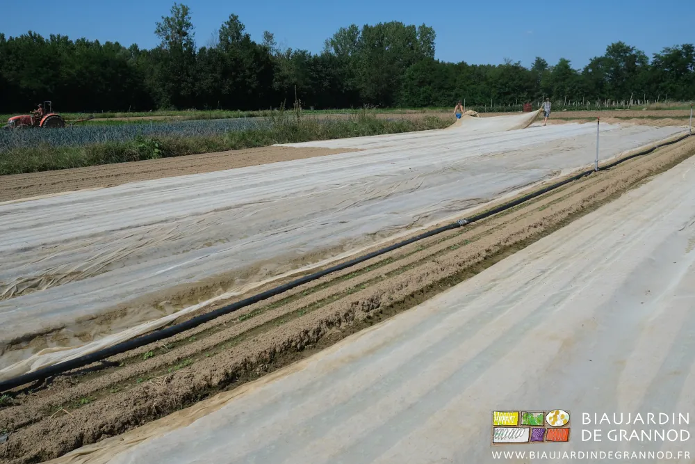 photo de Gabrielle et Émilie qui découvrent les planches et plient les filets