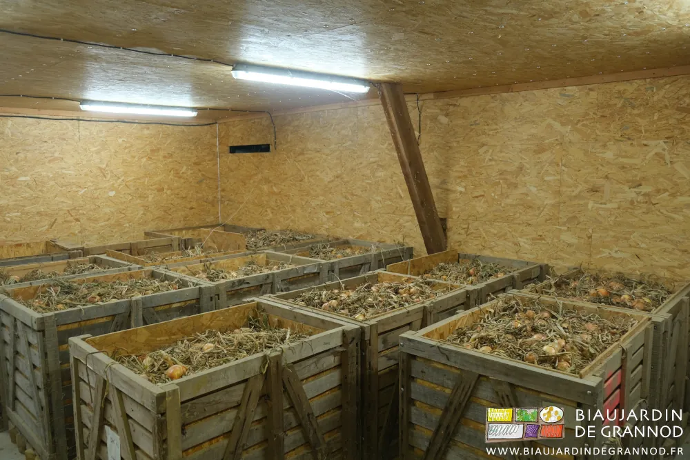 photo des palox d'oignon dans leur local bois isolé pour séchage par ventilation