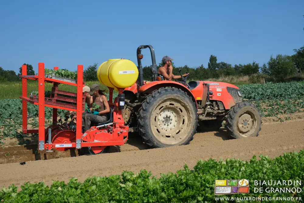 photo de Matthieu au volant le menton dans la main
