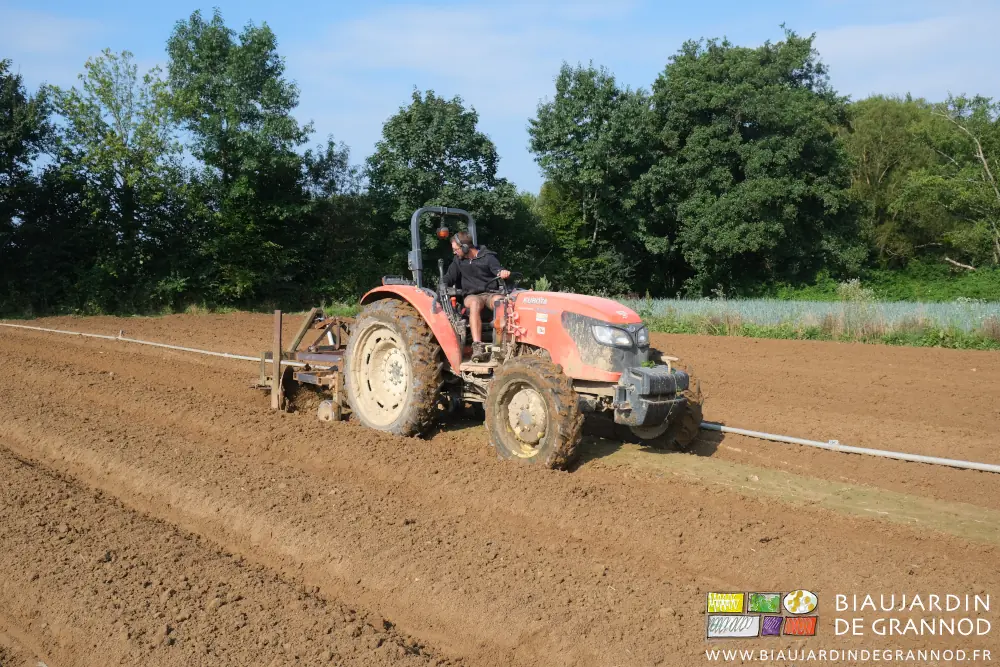 photo de Matthieu conduisant le tracteur attelé au cultibutte
