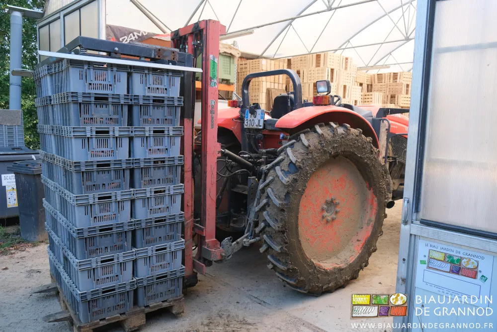 photo du tracetur amenant une palette de cagettes plastique de carotte au bâtiment