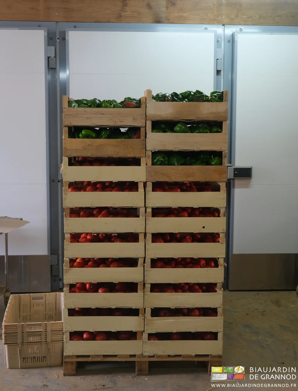 photo d'une palette de tomate et poivron vert