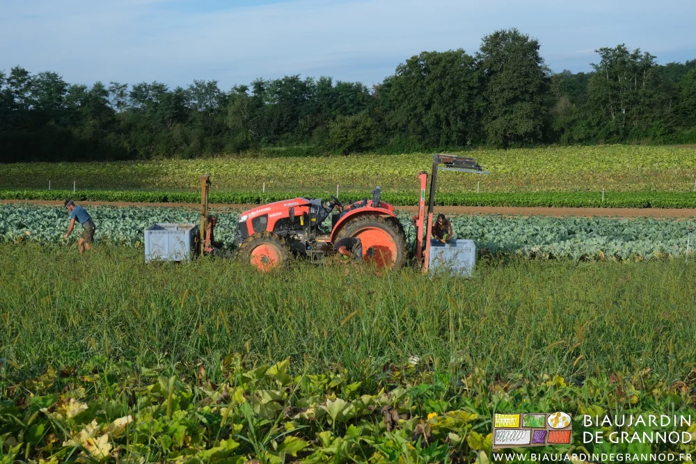 photo du tracteur et ses mâts lève palette avant et arrière