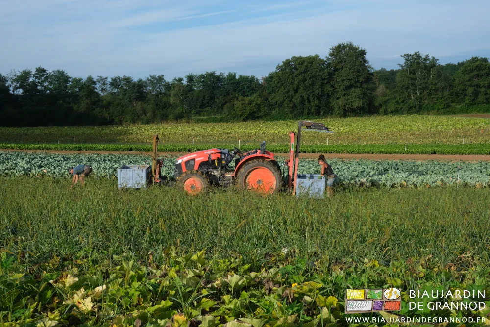 photo de tracteur, palox et Biaux Jardiniers au travail