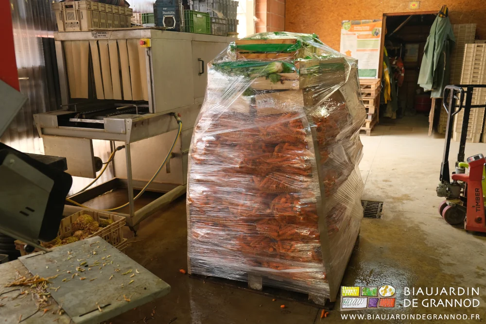photo d'une palette de filets de carotte et quelques caisses de fenouil