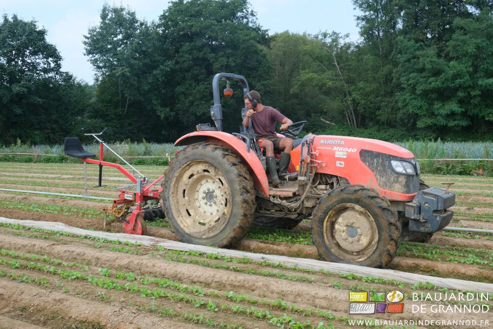 photo de Matthieu en torsion sur le tracteur pour surveiller la bineuse arrière de précision