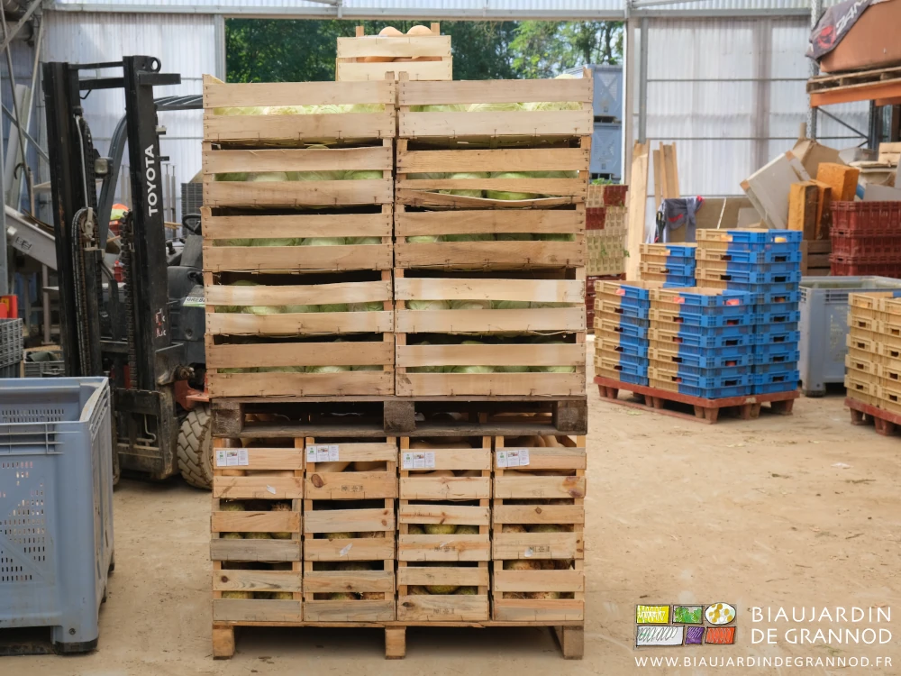 photo de l'empilement de 2 palettes constituées de légumes en cagettes de différents formats