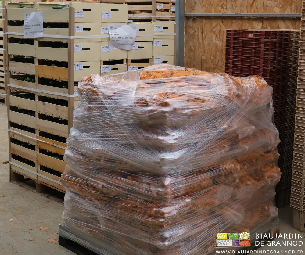 photo d'une palette de filets de carotte lavée prête à l'enlèvement par le transporteur