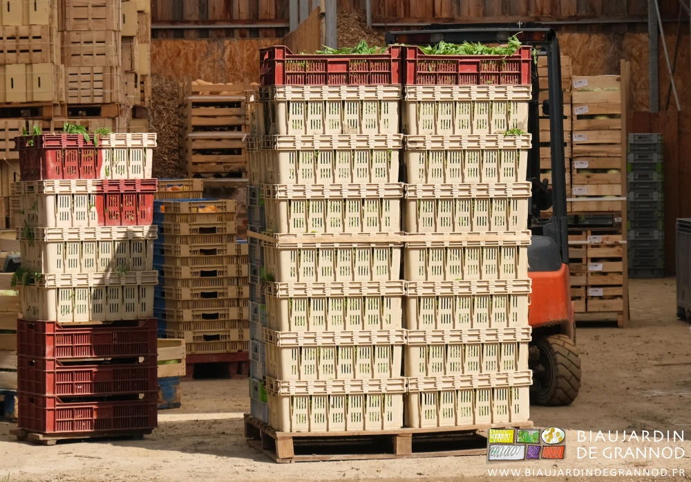 photo d'une palette de légumes en cagettes plastiques arrivant du jardin