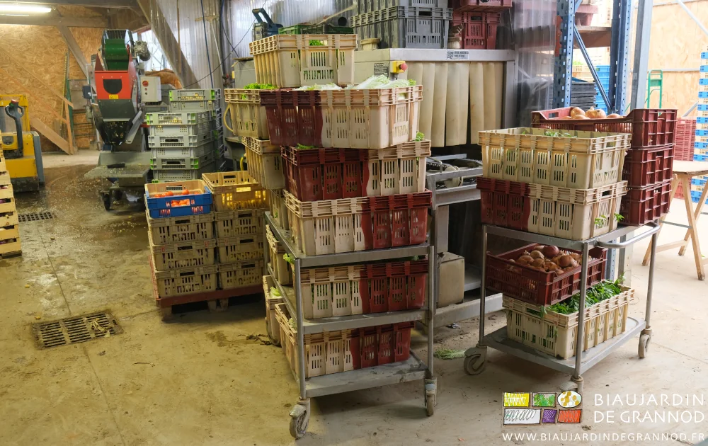 photo du local de lavage conditionnement et son lot de caisses et tables roulantes