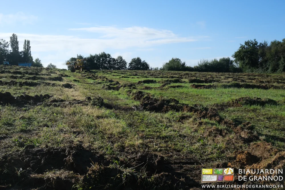 photo de fin de journée ensoleillée de l'ensemble de la parcelle drainée