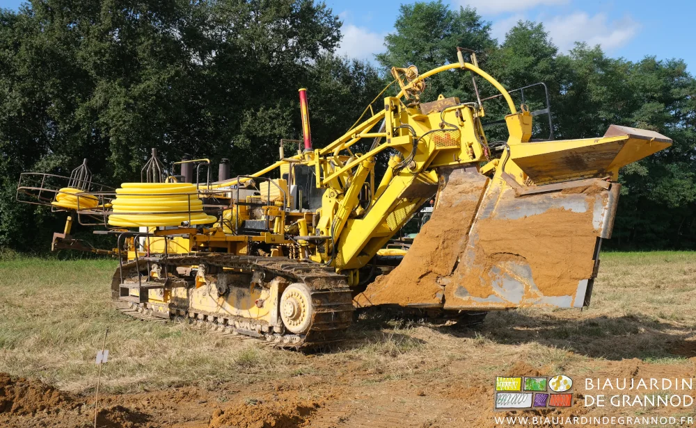 photo du sous-soleur avec sa dent haute de plus d'un mètre cinquante