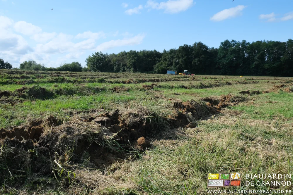 photo de la parcelle drainée