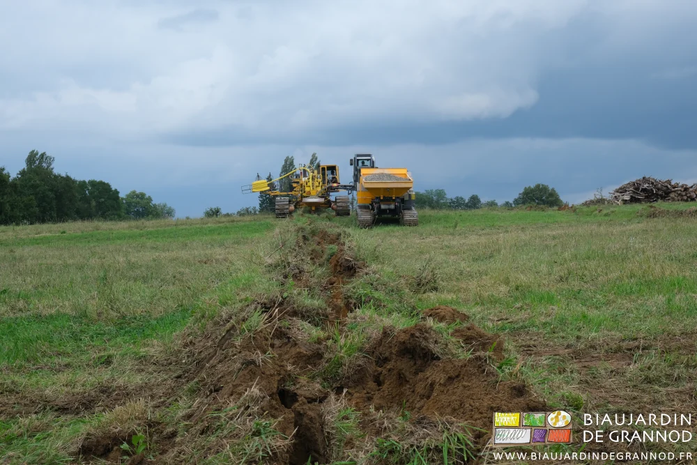 photo de la surface du terrain soulevée par l'action de la dent, mais sans bouleversement des horizons