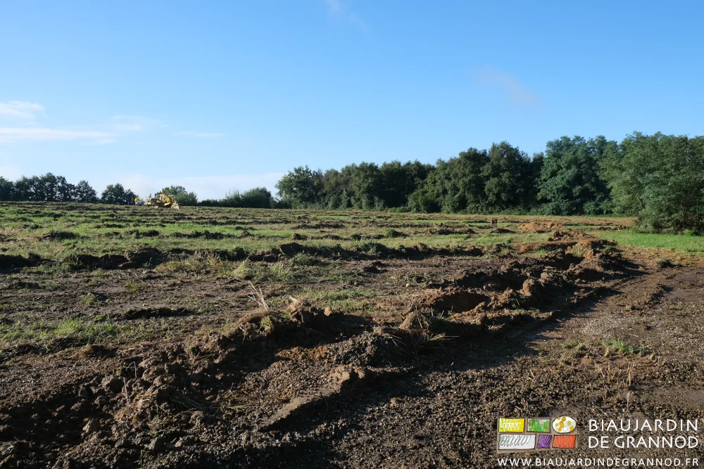 photo sous un beau ciel bleu de la parcelle drainée
