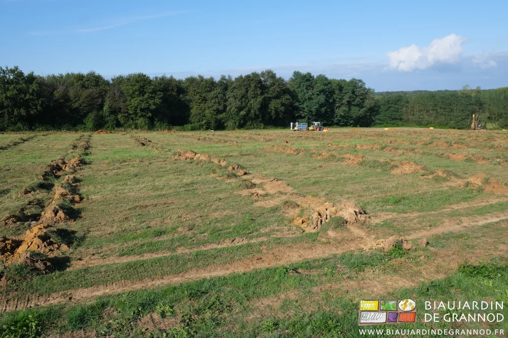 photo d'ensemble montrant le relief de pose des drains croisant les courbes de niveau