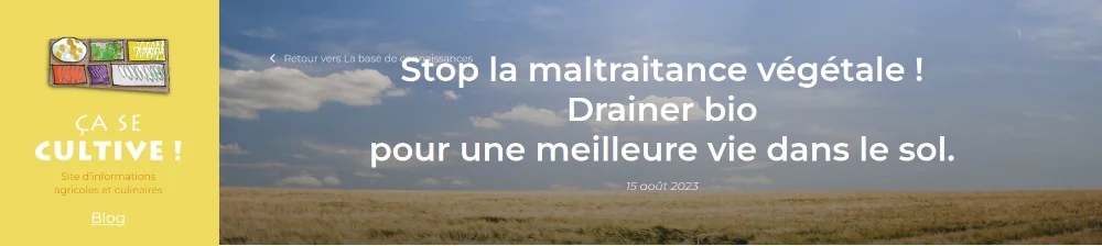 copie du bandeau de l'article stop maltraitance végétale, drainer pour une meilleur vie du sol