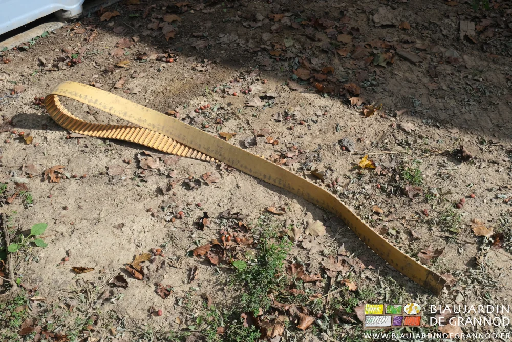 photo de la courroie crantée cassée