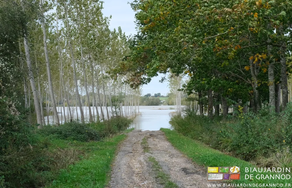 photo de l'inondation de la Seille qui couvre prairie et route