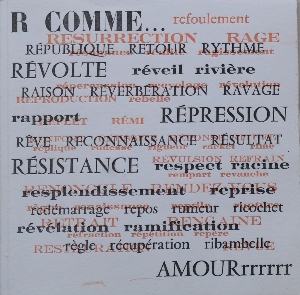 couverture du livre de témoignages sur Rémi Fraisse, tué au chantier du barrage de Sivens