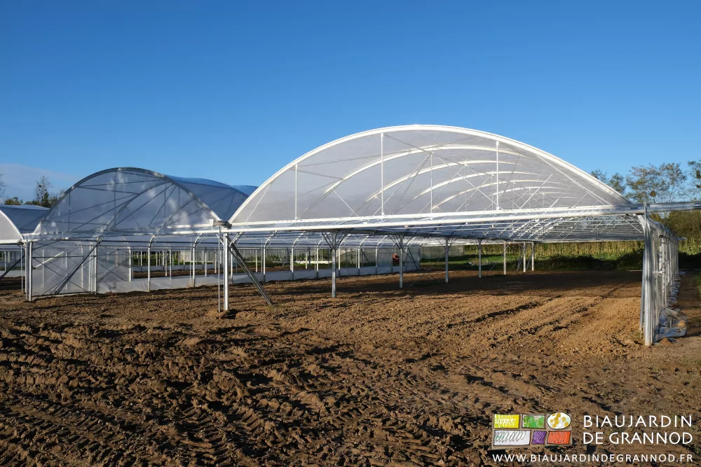 photo sous beau ciel bleu d'un des bi-tunnels après reprise au rotovator