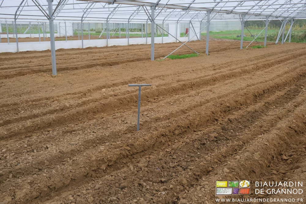 photo de la gouge enfoncée en terre pour sentir et régler le travail en profondeur