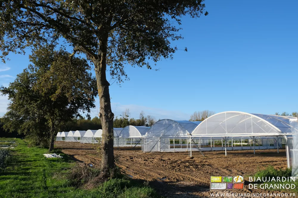 photo sous ciel bleu des 5 bi-tunnels à côté de magnifiques chênes préservés