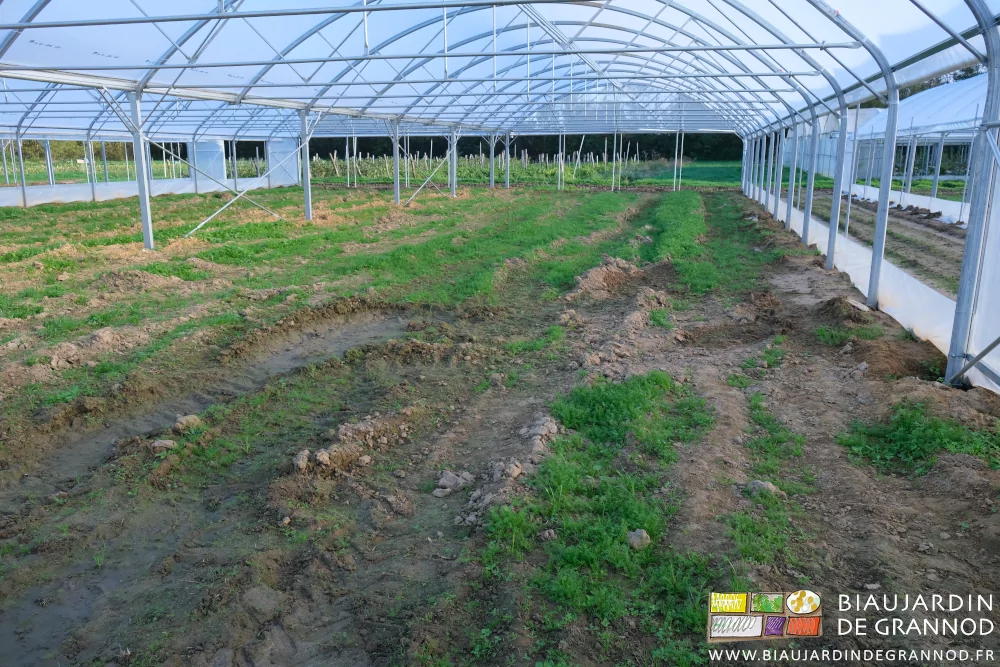 photo du terrain tassé par les manœuvres d’engins à chenilles