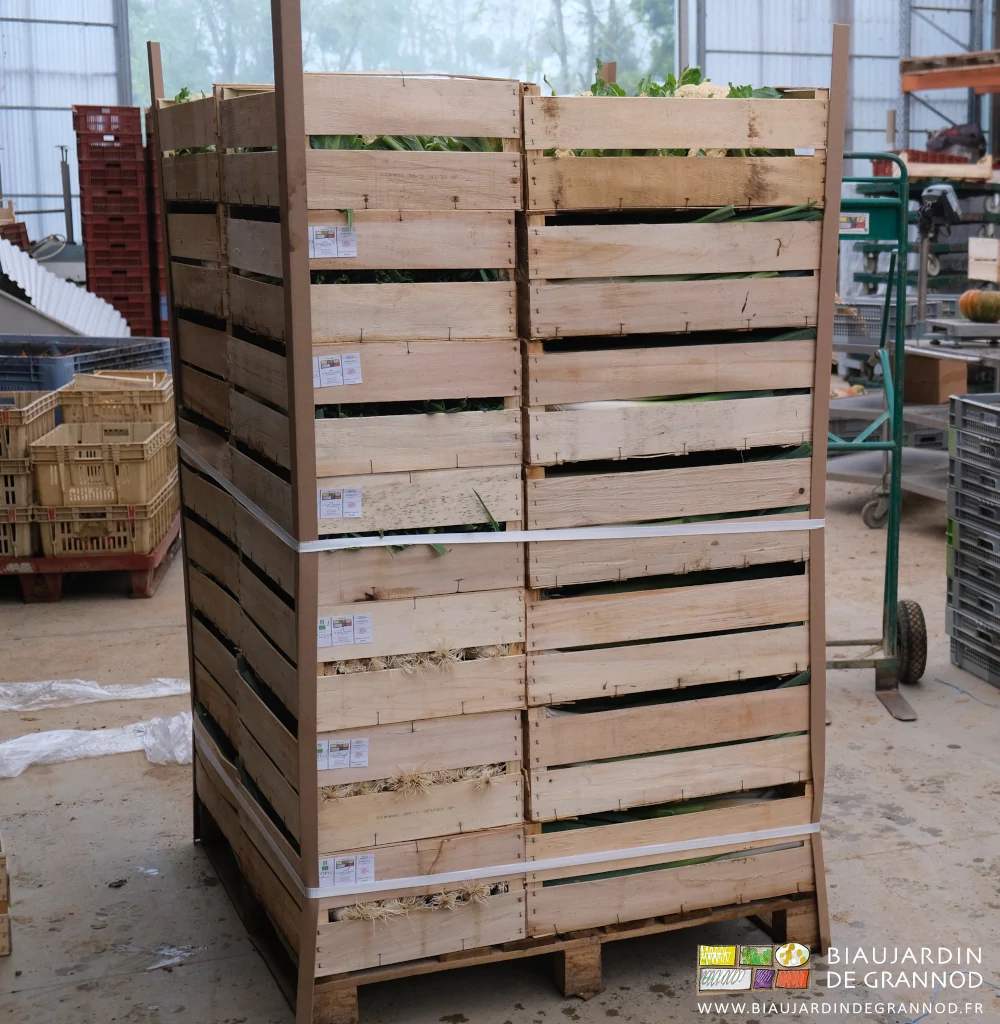 photo d'une palette de poireau en cagette bois