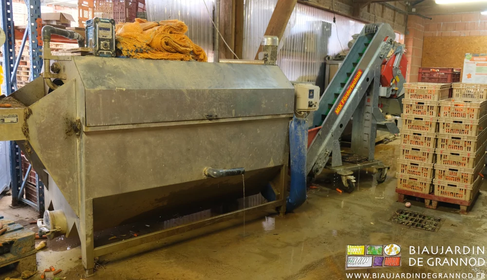 photo d'une palette de caisses de carotte à la sortie de la laveuse