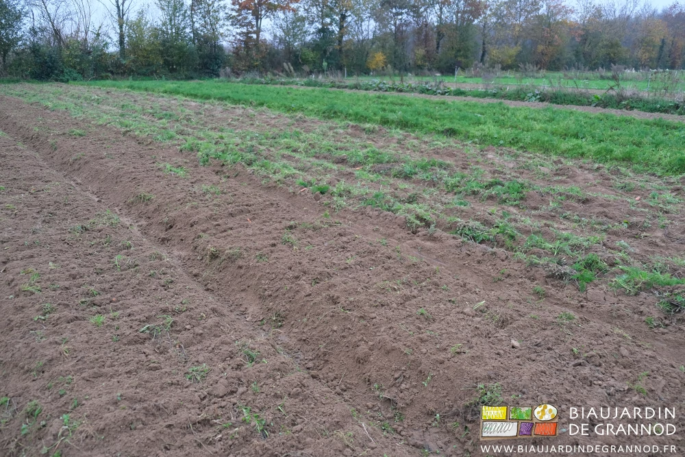 photo d'ensemble du carré en cours de reprise
