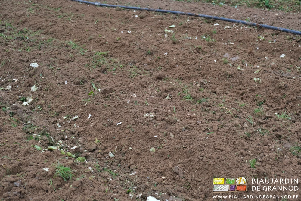 photo proche d'une planche déchaumée superficiellement