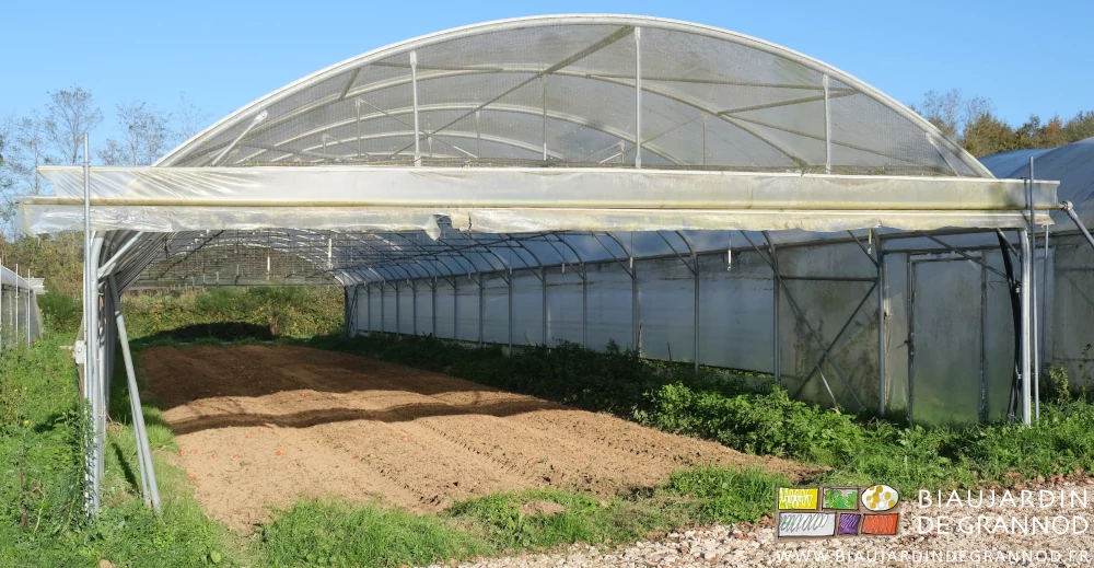 photo sous soleil et ciel bleu d'un tunnel aux planches fraîchement déchaumées