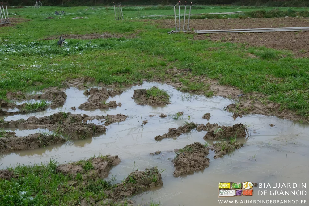 photoi d'iune mini mare au milieu d'une des larges allées de circulation du jardin