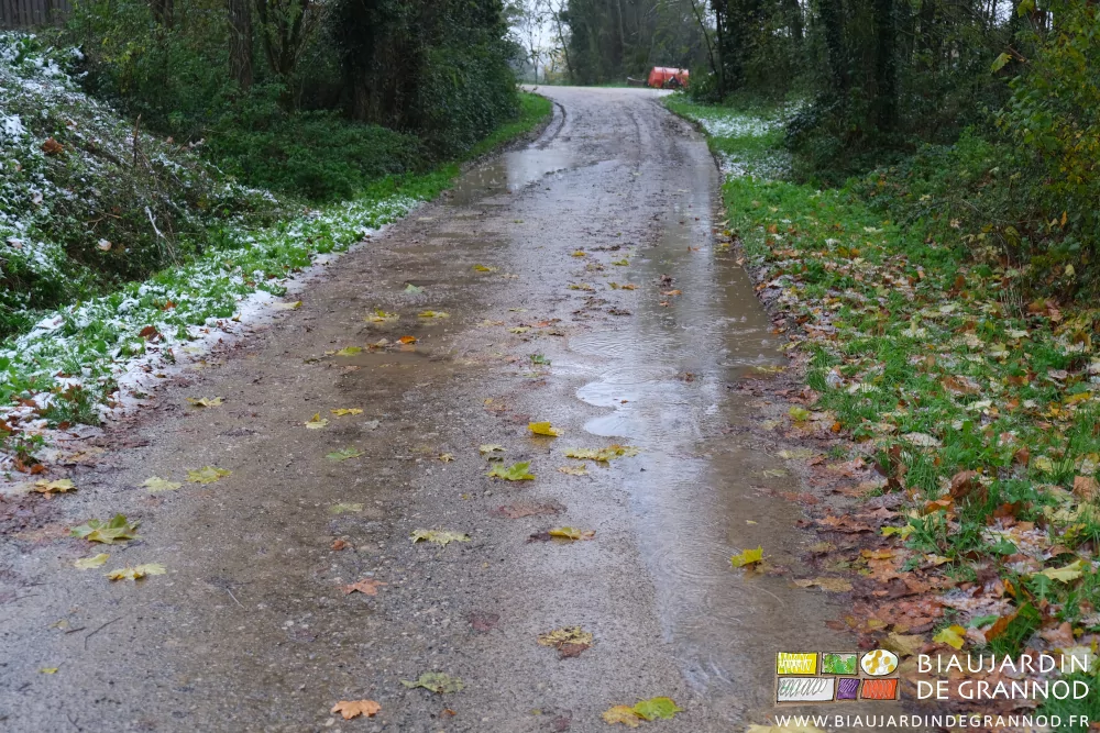 photo de la desserte couverte de grosses flaques d'eau de notre ferme