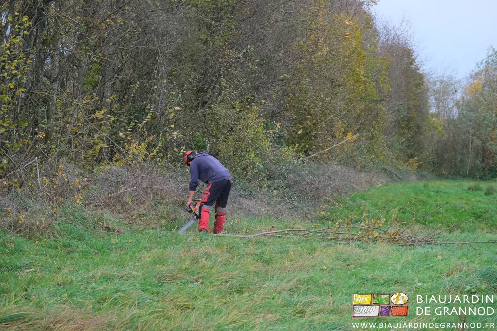 photo de Benjamin penché avec sa tronçonneuse coupant une branche tombée au pied de la haie