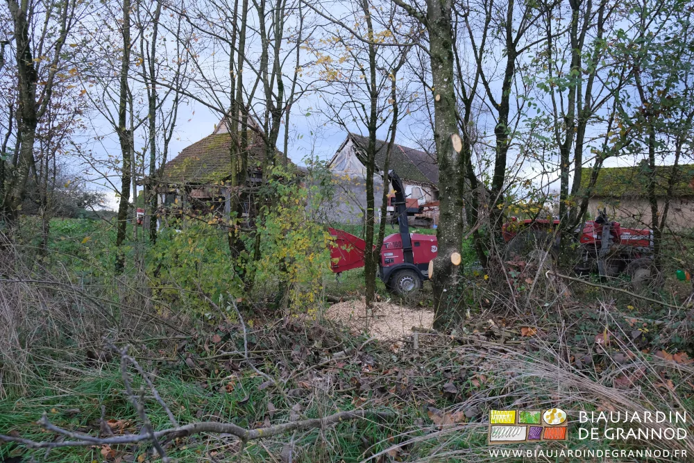 photo d’une des haies dont le sol est couvert de plaquette de bois sortant juste du broyeur