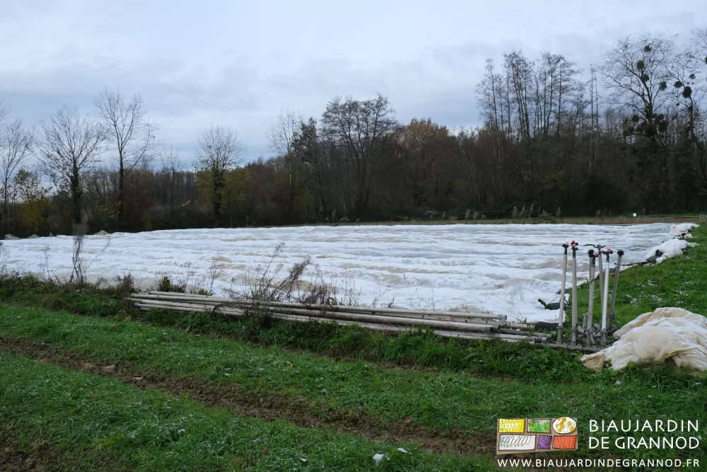 photo de tubes d'arrosage regroupés au bout d'une bande fleurie permanente