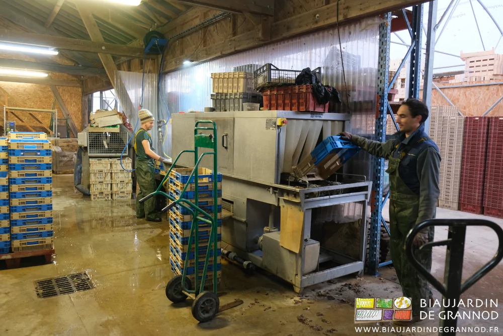 photo de Vivien plaçant une caisse dans la laveuse, Valentin la vérifiant à la sortie
