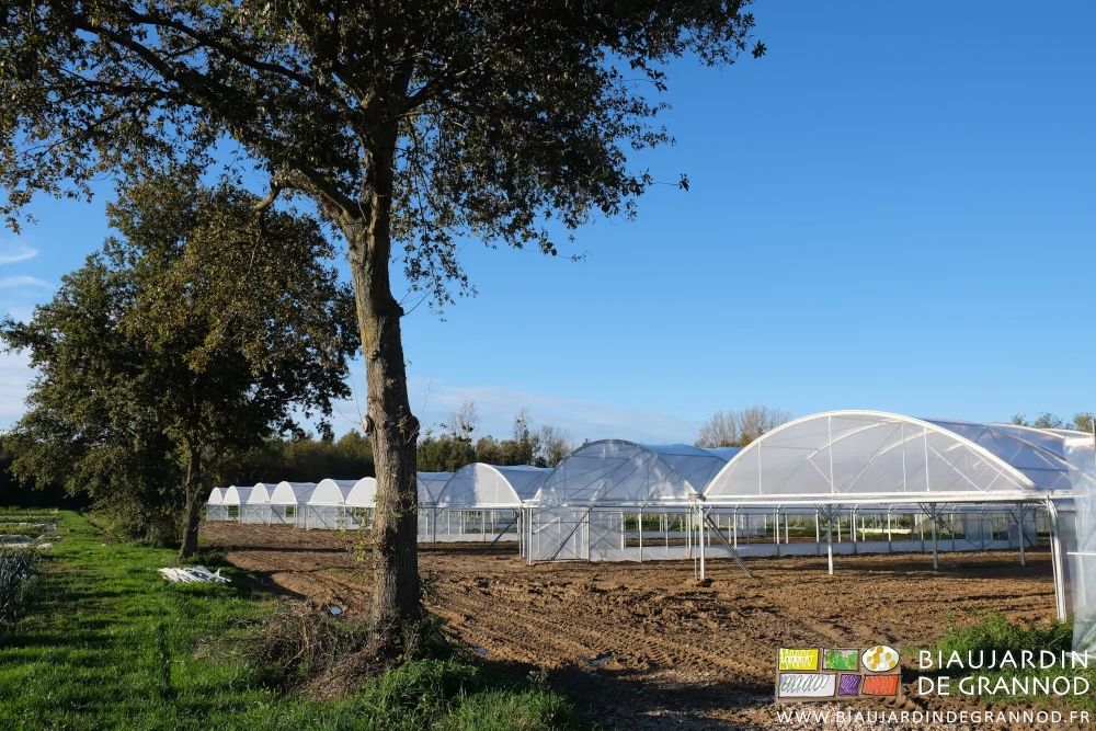 photo de la parcelle en tunnels les chênes au premier plan